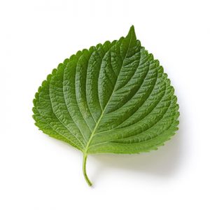 Lá mè Hàn Quốc